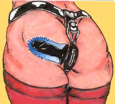 belt1.jpg (11173 �o�C�g)