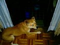 Img_0001.jpg
